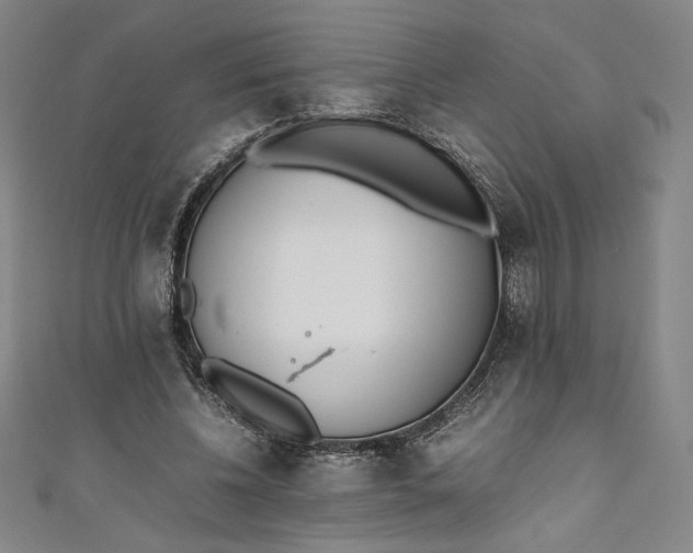 X0000111450540200907271232