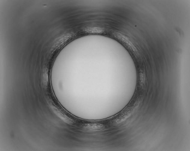 X0000111450541200907271232