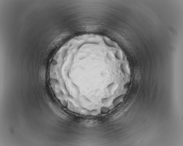 X0000111450542200907271232