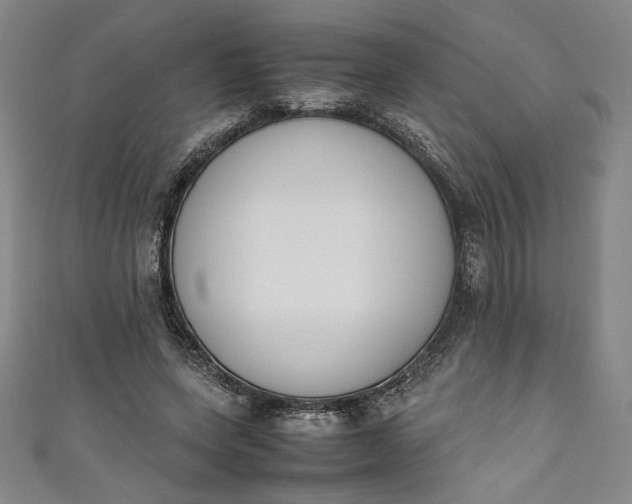 X0000111450543200907271232