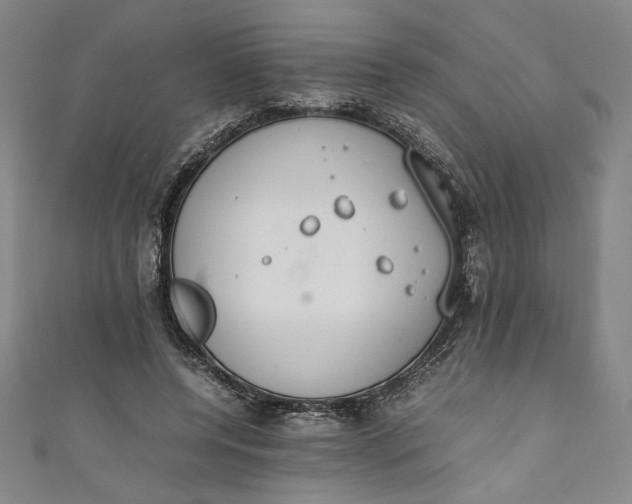 X0000111450544200907271232