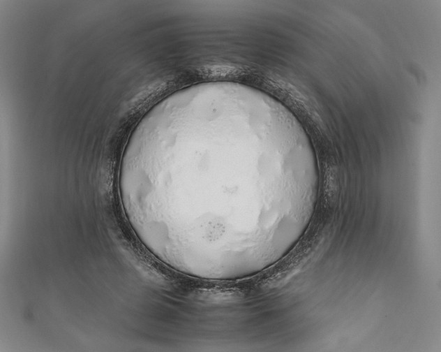 X0000111450545200907271232
