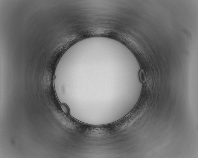 X0000111450546200907271232