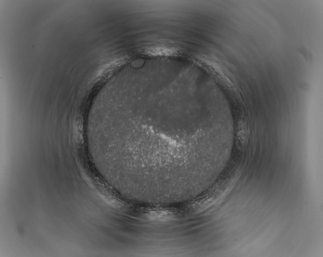 X0000111450547200907271232