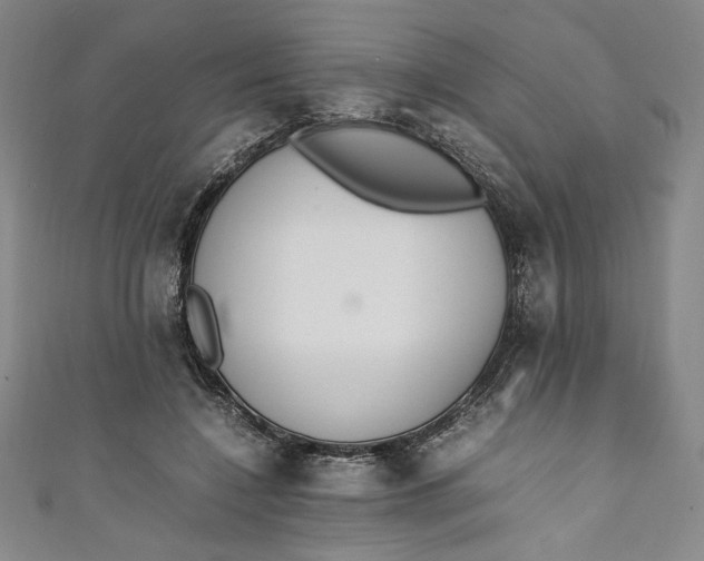 X0000111450548200907271232