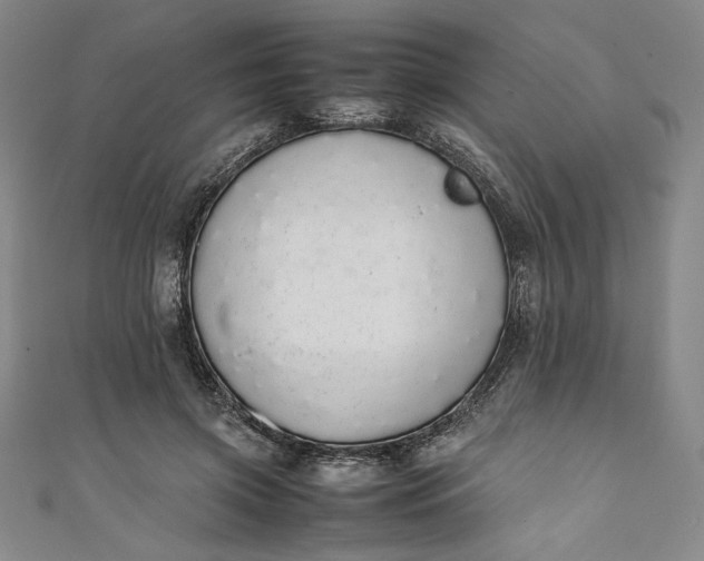 X0000111450549200907271232