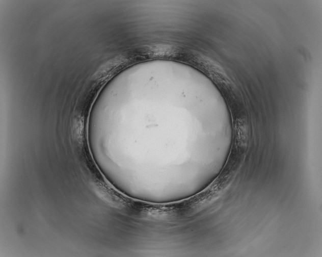 X0000111450550200907271232