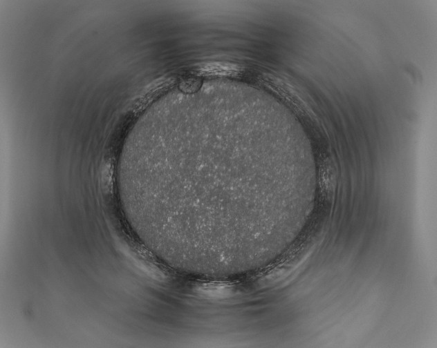 X0000111450551200907271232