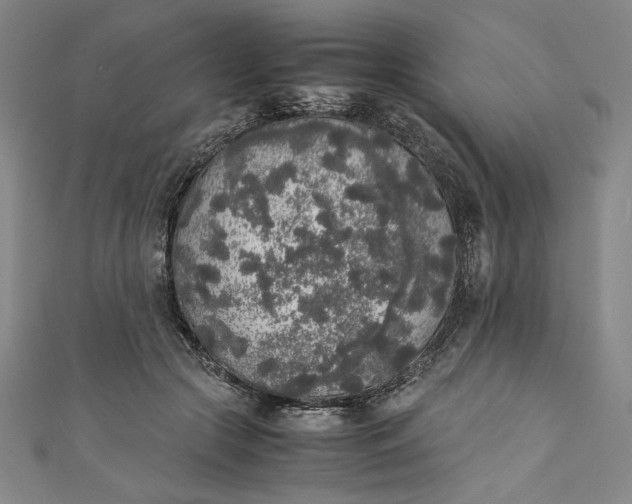 X0000111450553200907271232