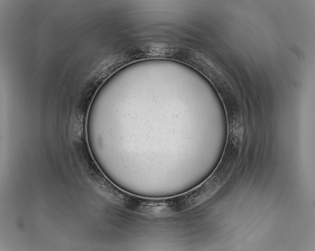 X0000111450554200907271232