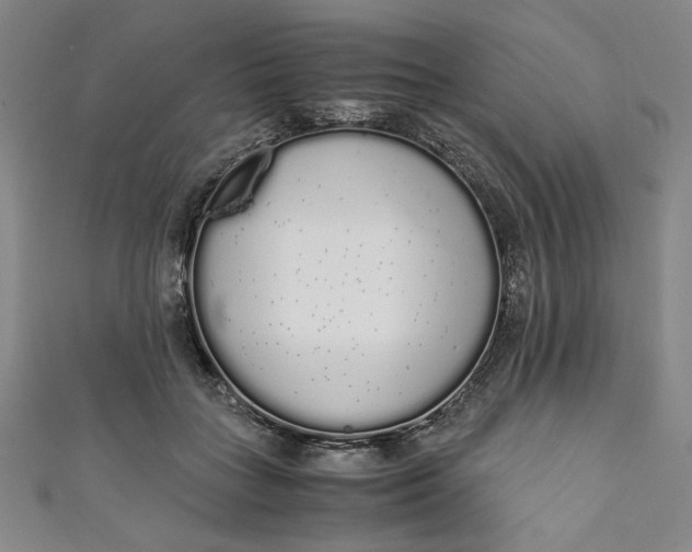 X0000111450555200907271233