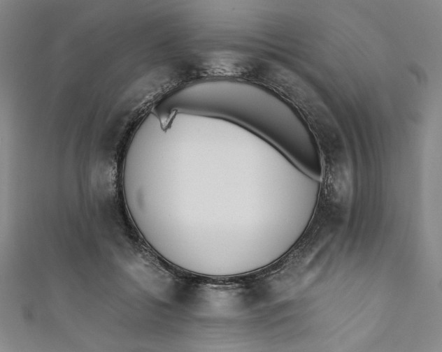 X0000111450556200907271233
