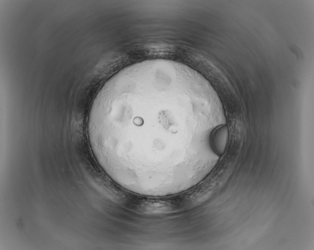X0000111450557200907271233