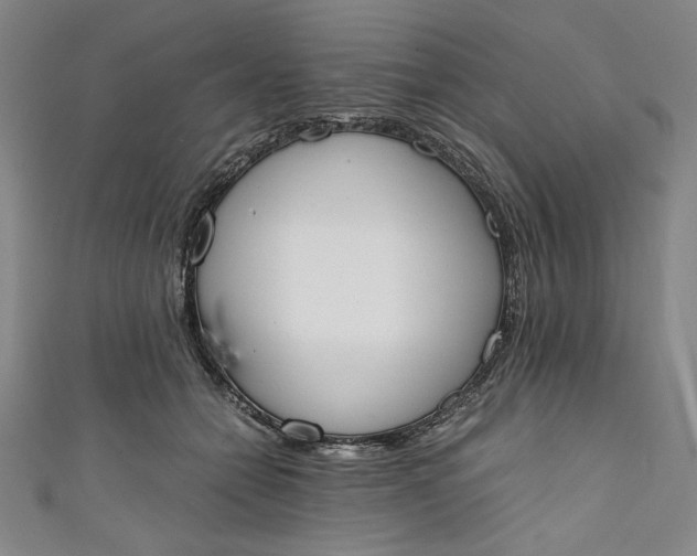 X0000111450558200907271233