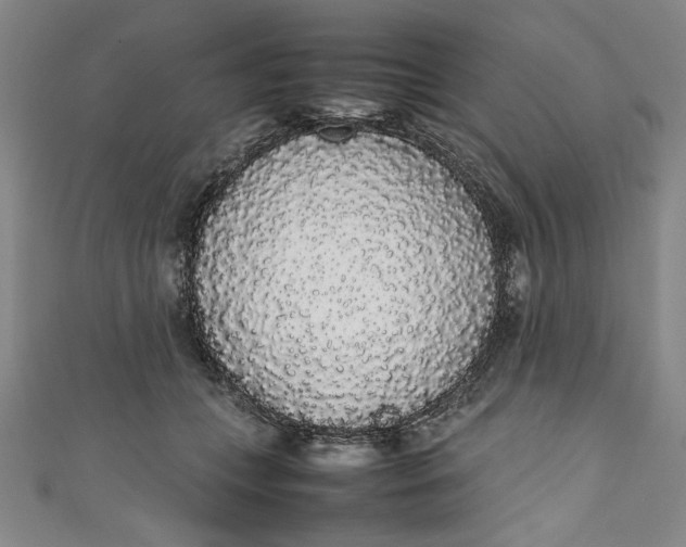 X0000111450559200907271233