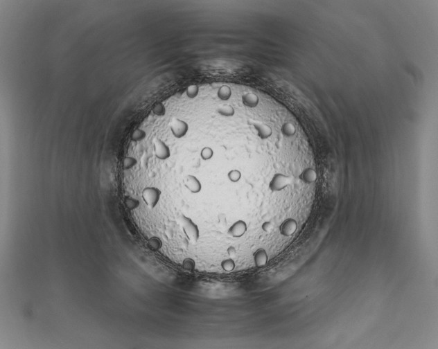 X0000111450561200907271233