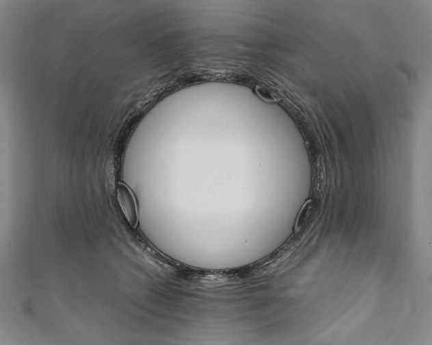 X0000111450562200907271233