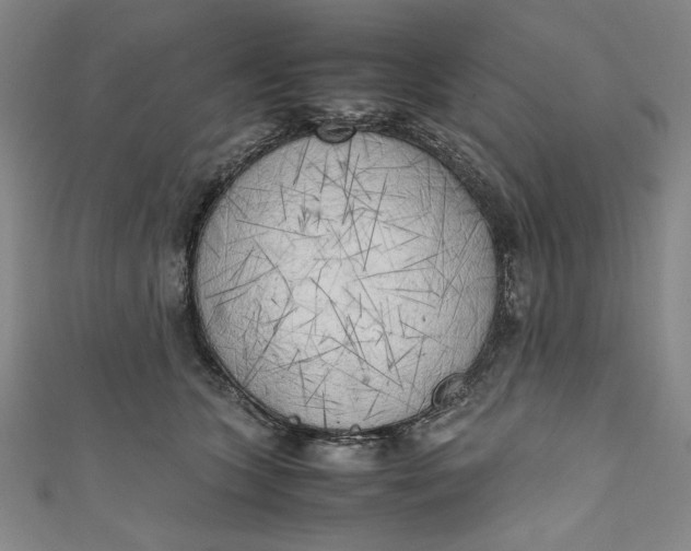 X0000111450563200907271233