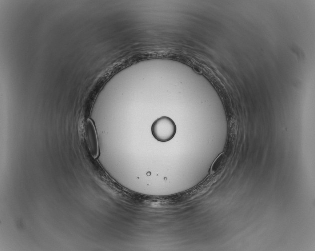 X0000111450564200907271233