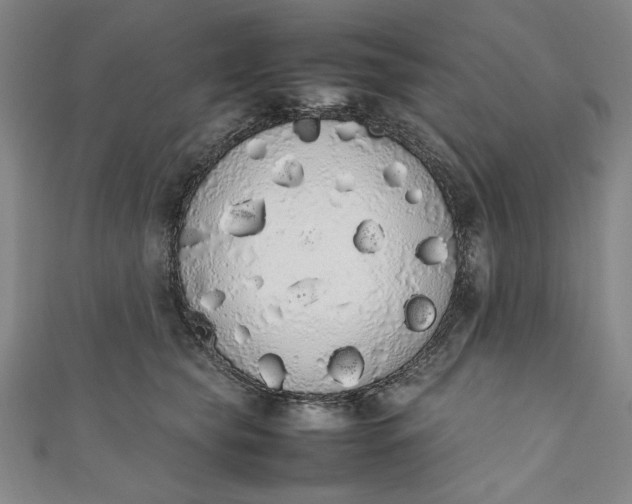 X0000111450565200907271233