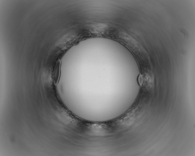 X0000111450566200907271233