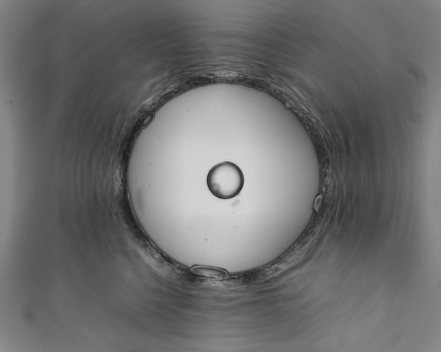 X0000111450568200907271233