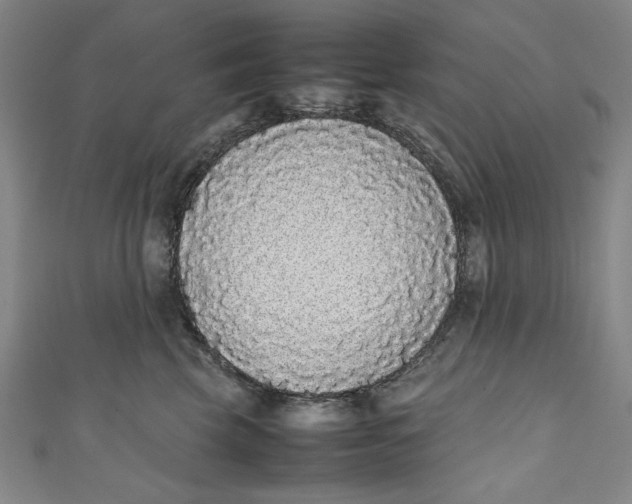X0000111450569200907271233