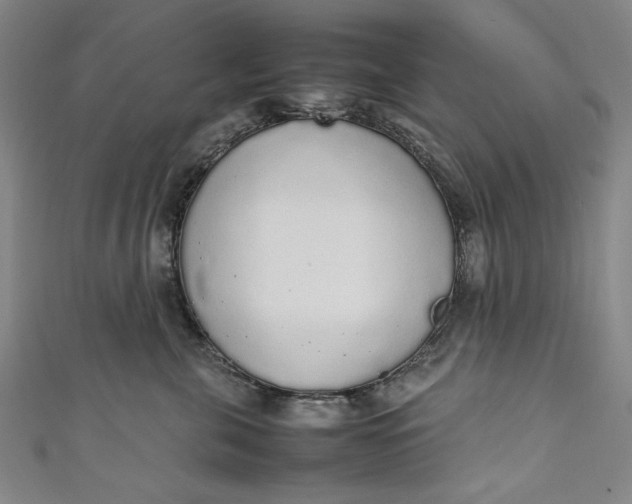 X0000111450571200907271233