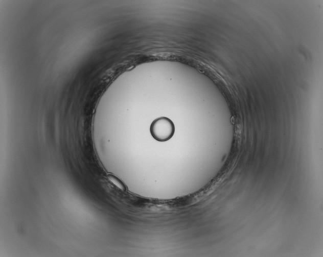 X0000111450572200907271233