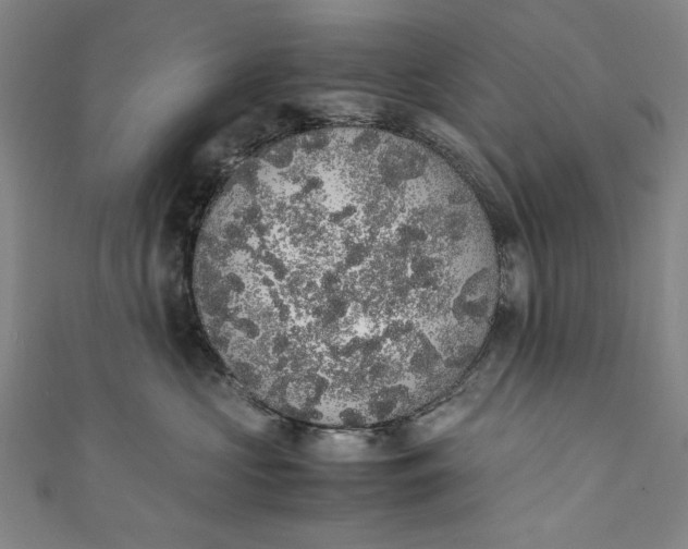 X0000111450573200907271233