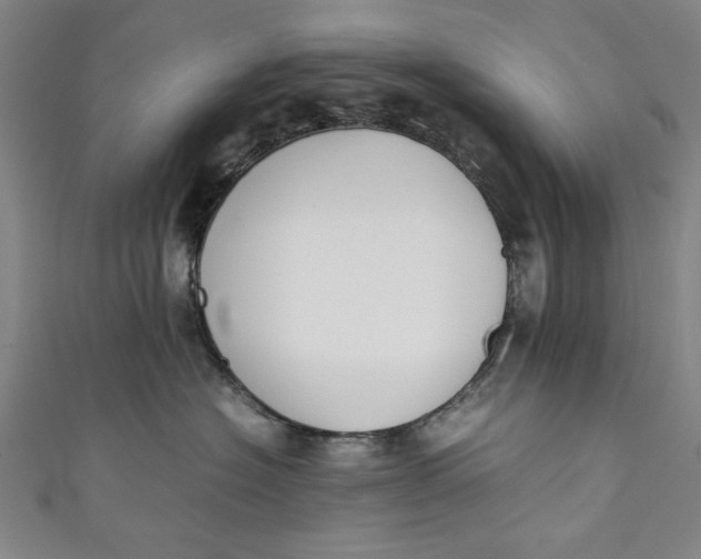 X0000111450574200907271233