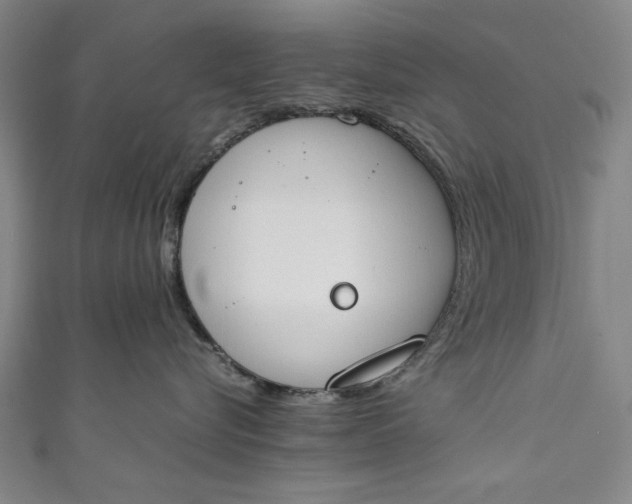 X0000111450576200907271233