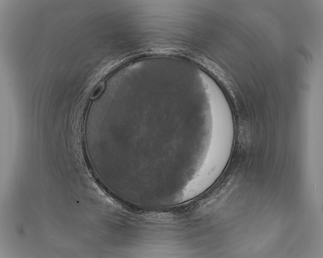 X0000111450577200907271232