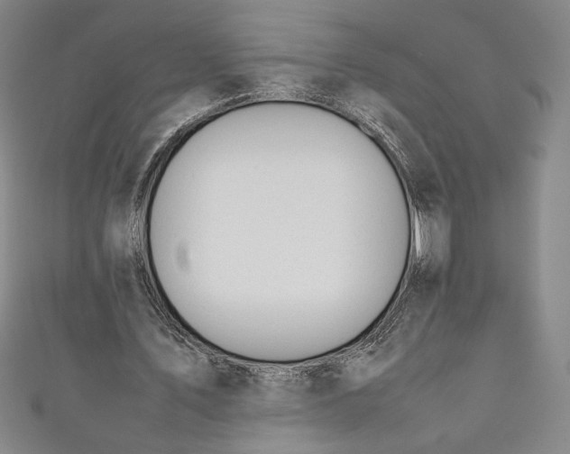 X0000111450579200907271232