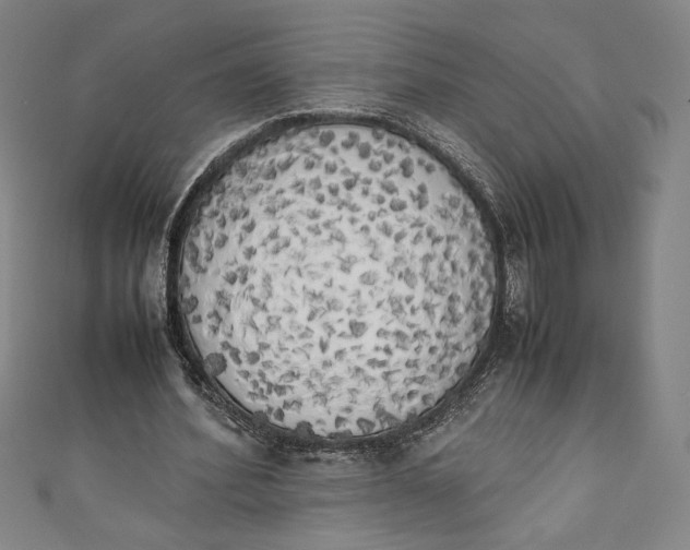 X0000111450580200907271232