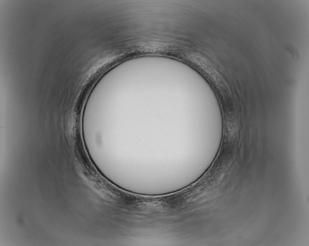 X0000111450583200907271232