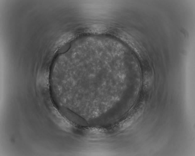 X0000111450585200907271232