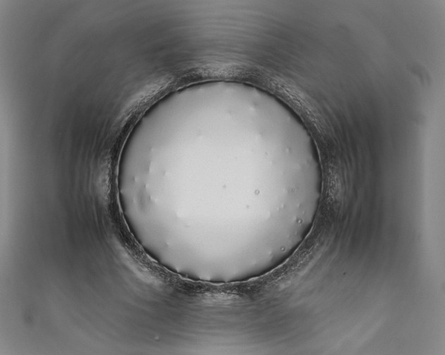 X0000111450586200907271232