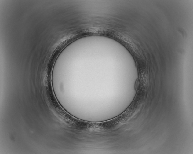 X0000111450587200907271232