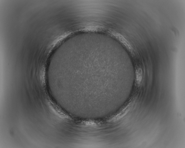X0000111450588200907271232