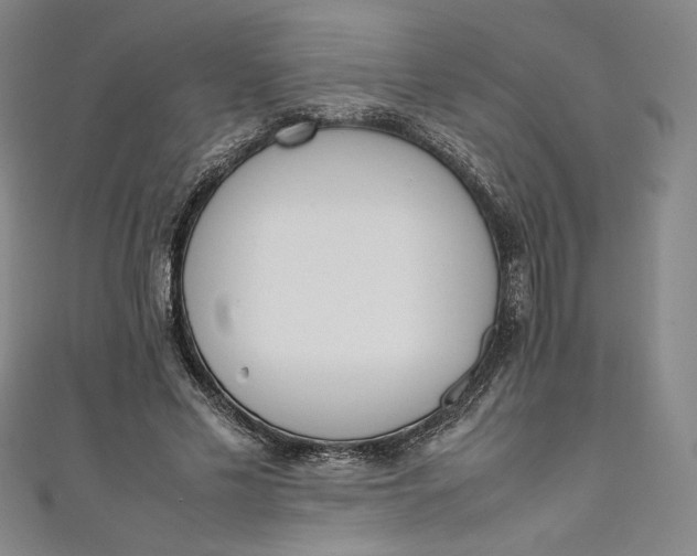 X0000111450589200907271232