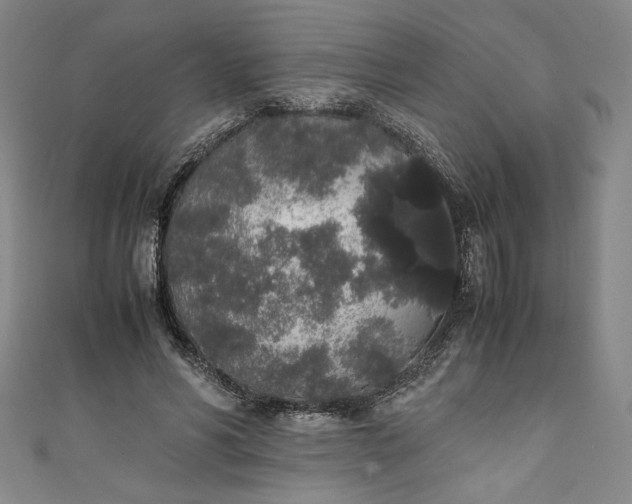 X0000111450590200907271232