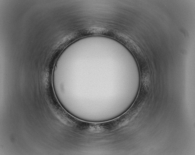 X0000111450591200907271232