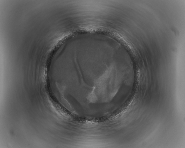 X0000111450592200907271232