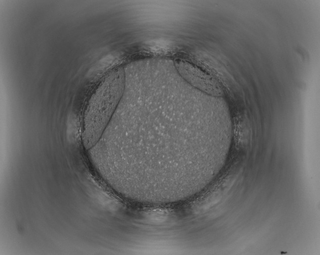 X0000111450593200907271232