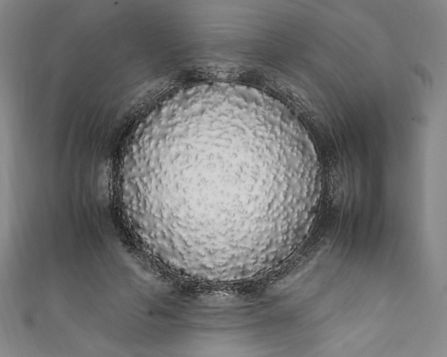 X0000111450594200907271232