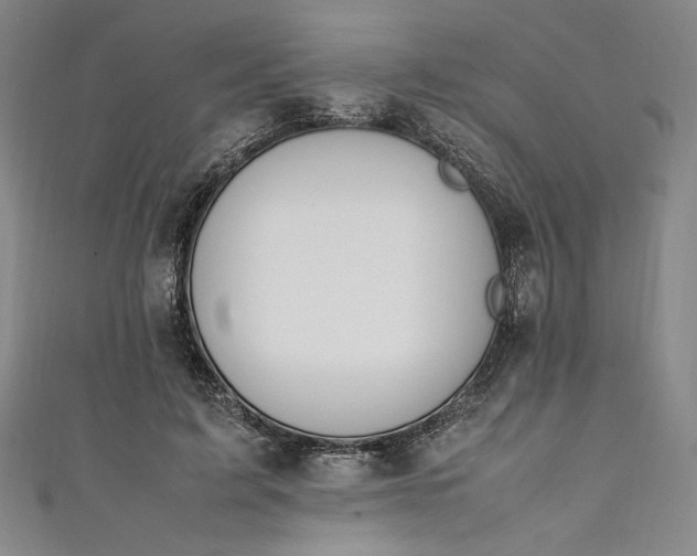 X0000111450595200907271232