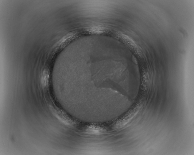 X0000111450596200907271232