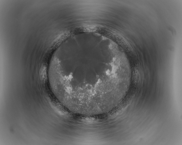 X0000111450598200907271232