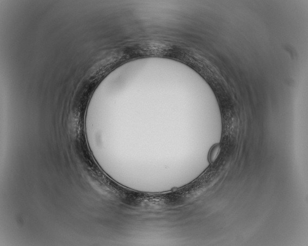 X0000111450599200907271232